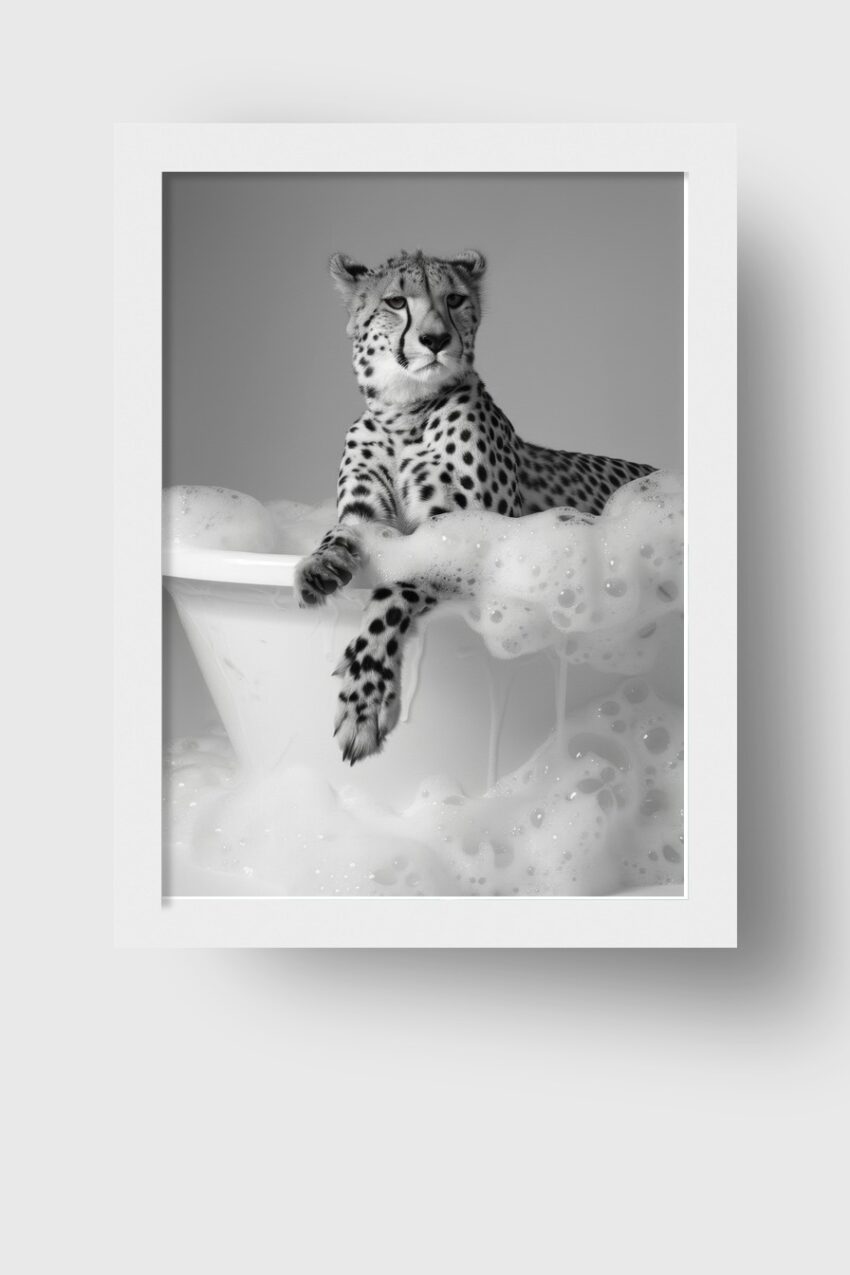Fotografie Poster Gepard Badewanne schwarz-weiß Tierportrait