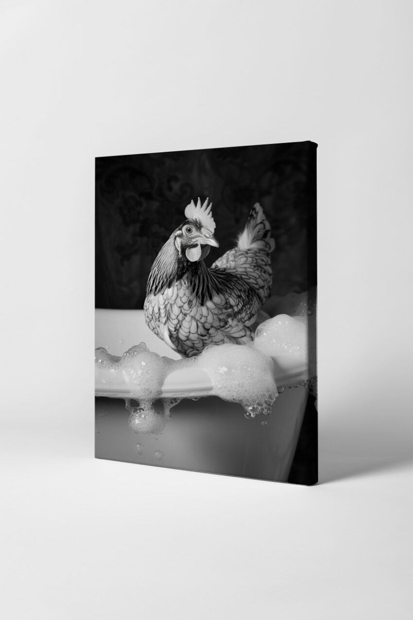 Fotografie Poster Huhn Badewanne schwarz-weiß