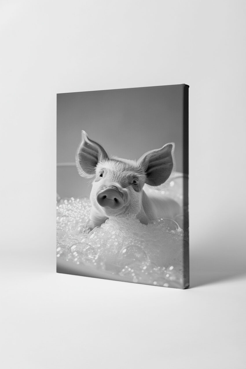 Fotografie Poster Schwein Ferkel Nahaufnahme schwarz-weiß