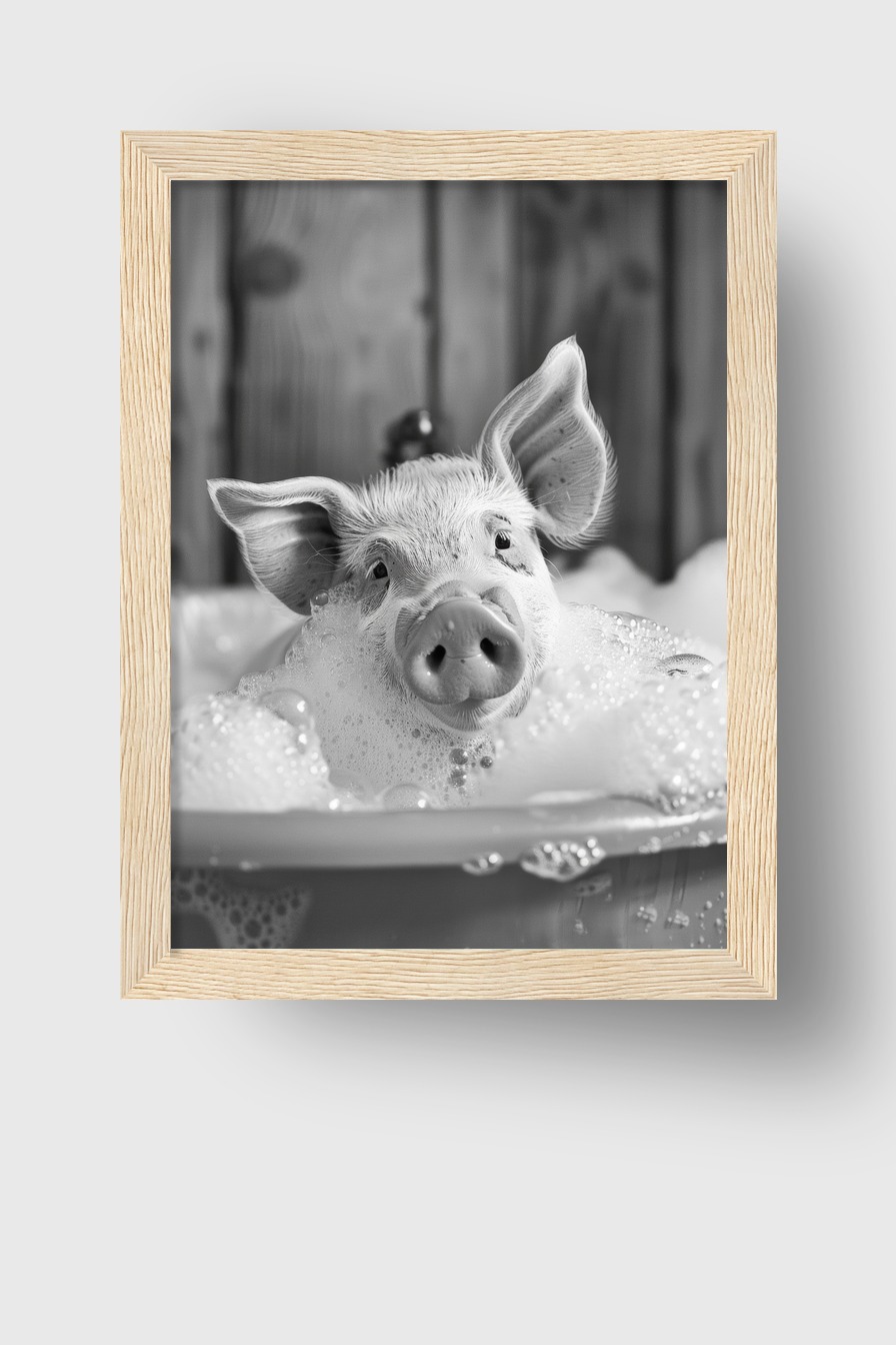 Fotografie Poster Schwein Badewanne schwarz-weiß