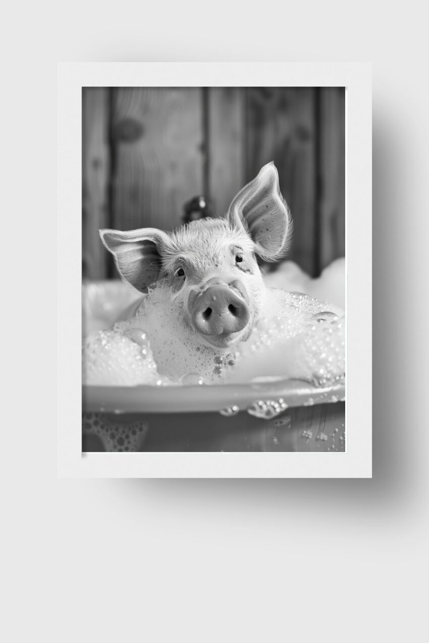 Fotografie Poster Schwein Badewanne schwarz-weiß