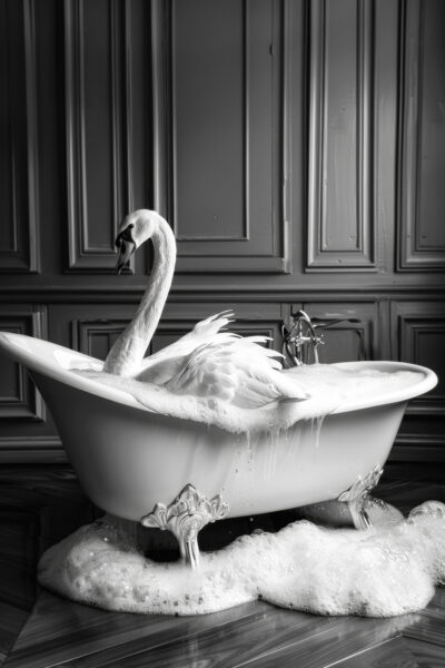 Schwan Badewanne Leinwandbild