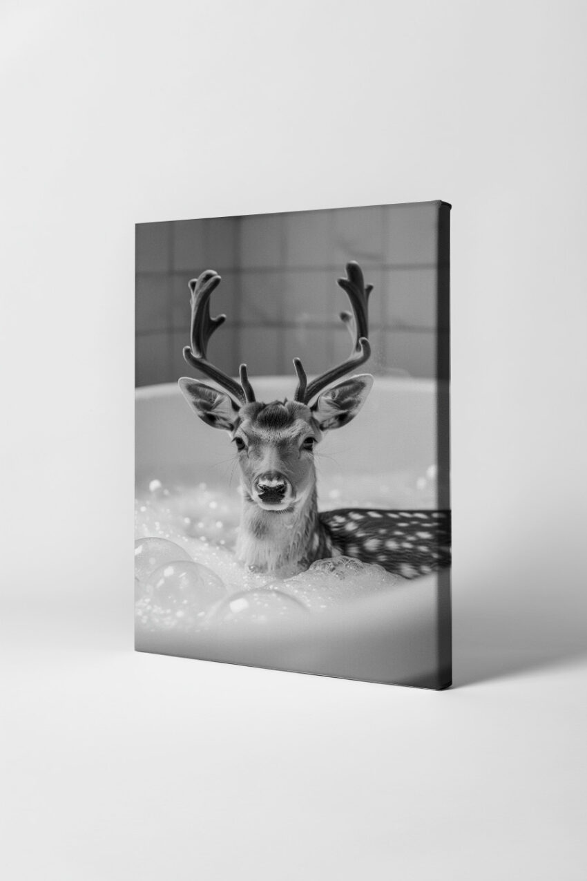Fotografie Poster Reh Badewanne schwarz-weiß Nahaufnahme