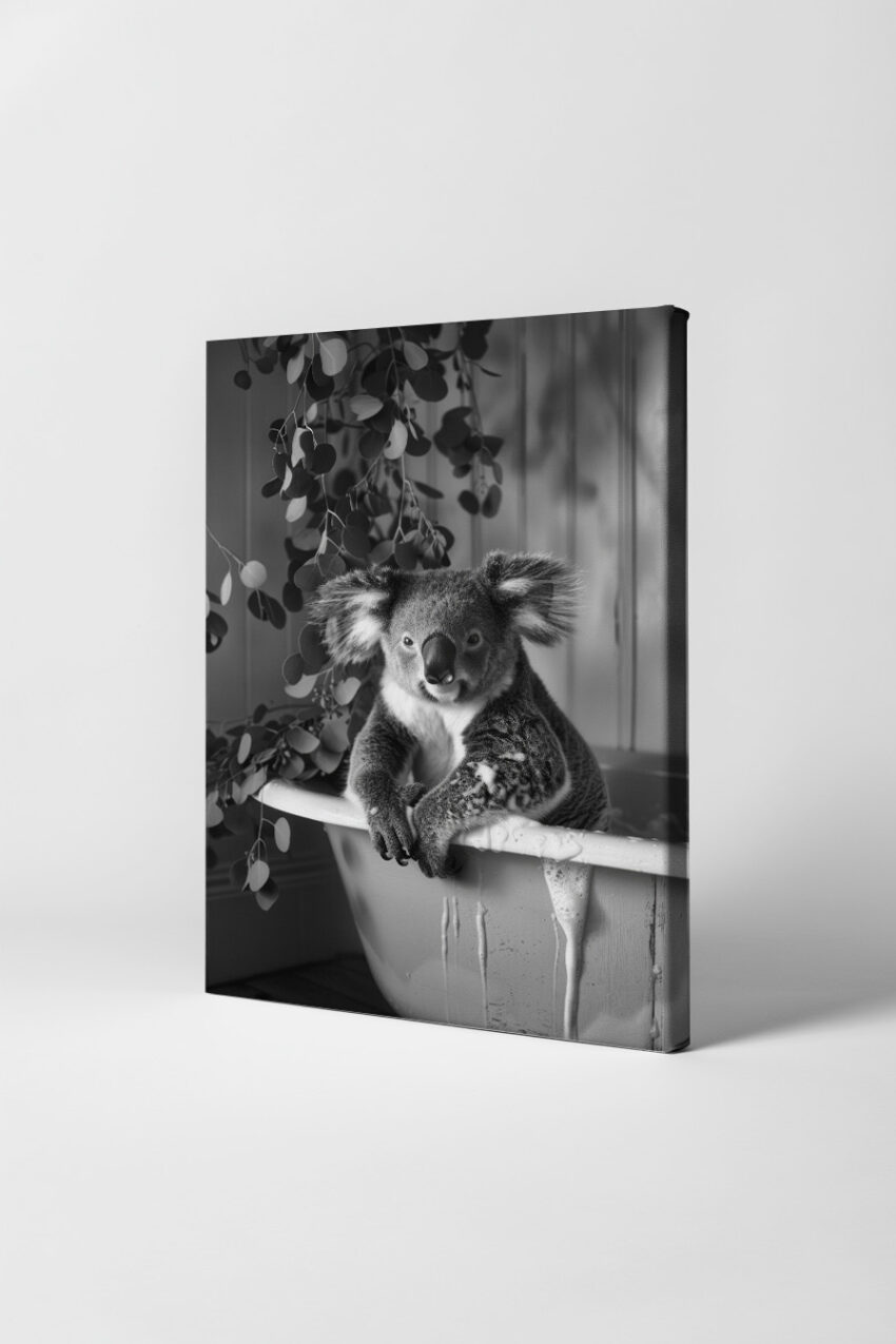 Fotografie Poster Koala Badewanne schwarz-weiß ruhig