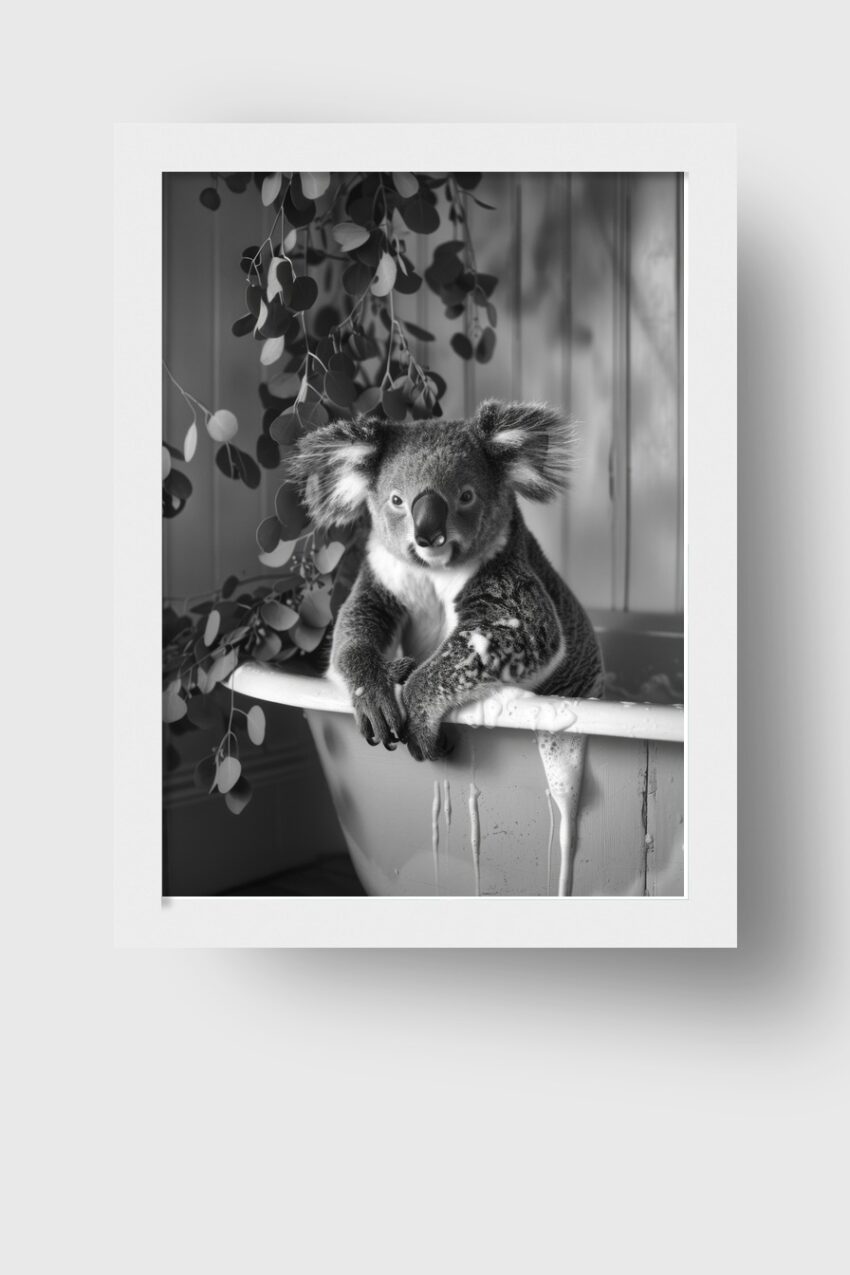 Fotografie Poster Koala Badewanne schwarz-weiß ruhig