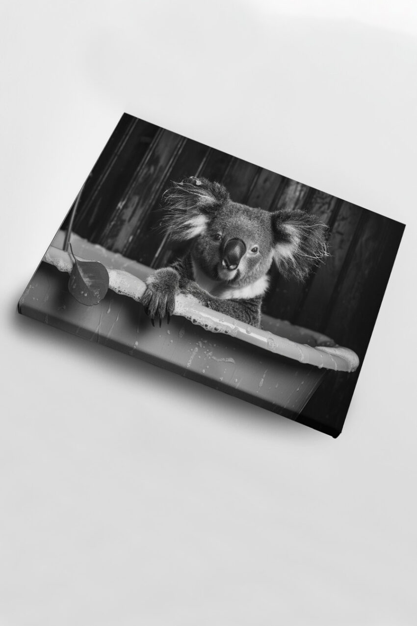 Fotografie Poster Koala Badewanne schwarz-weiß