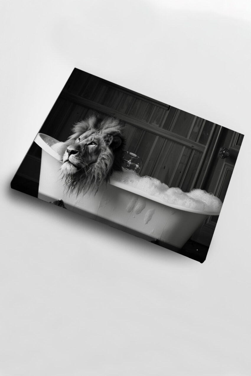 Fotografie Poster Löwe Badewanne schwarz-weiß