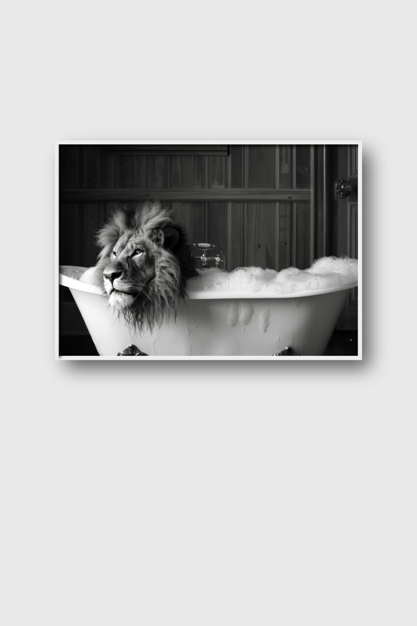 Fotografie Poster Löwe Badewanne schwarz-weiß