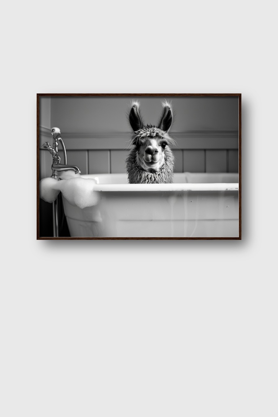 Fotografie Poster Alpaka Badewanne schwarz-weiß