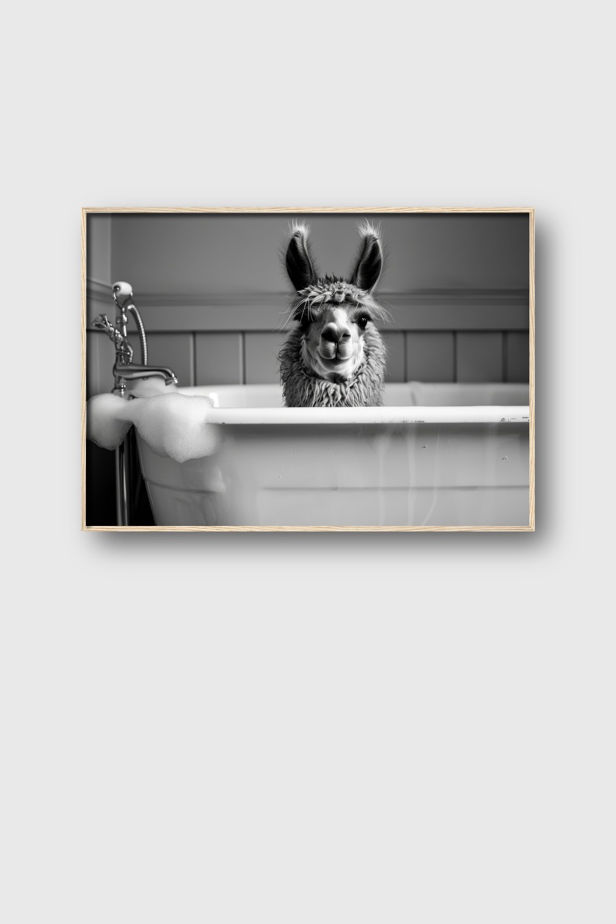 Fotografie Poster Alpaka Badewanne schwarz-weiß