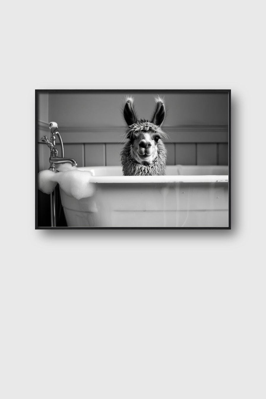 Fotografie Poster Alpaka Badewanne schwarz-weiß