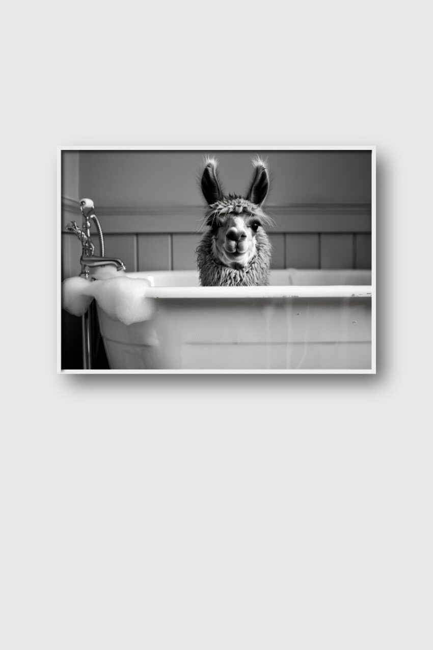 Fotografie Poster Alpaka Badewanne schwarz-weiß