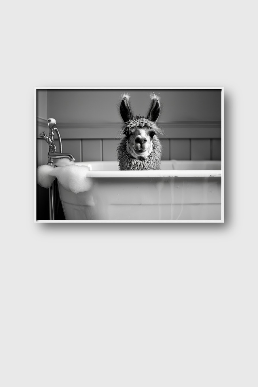 Fotografie Poster Alpaka Badewanne schwarz-weiß