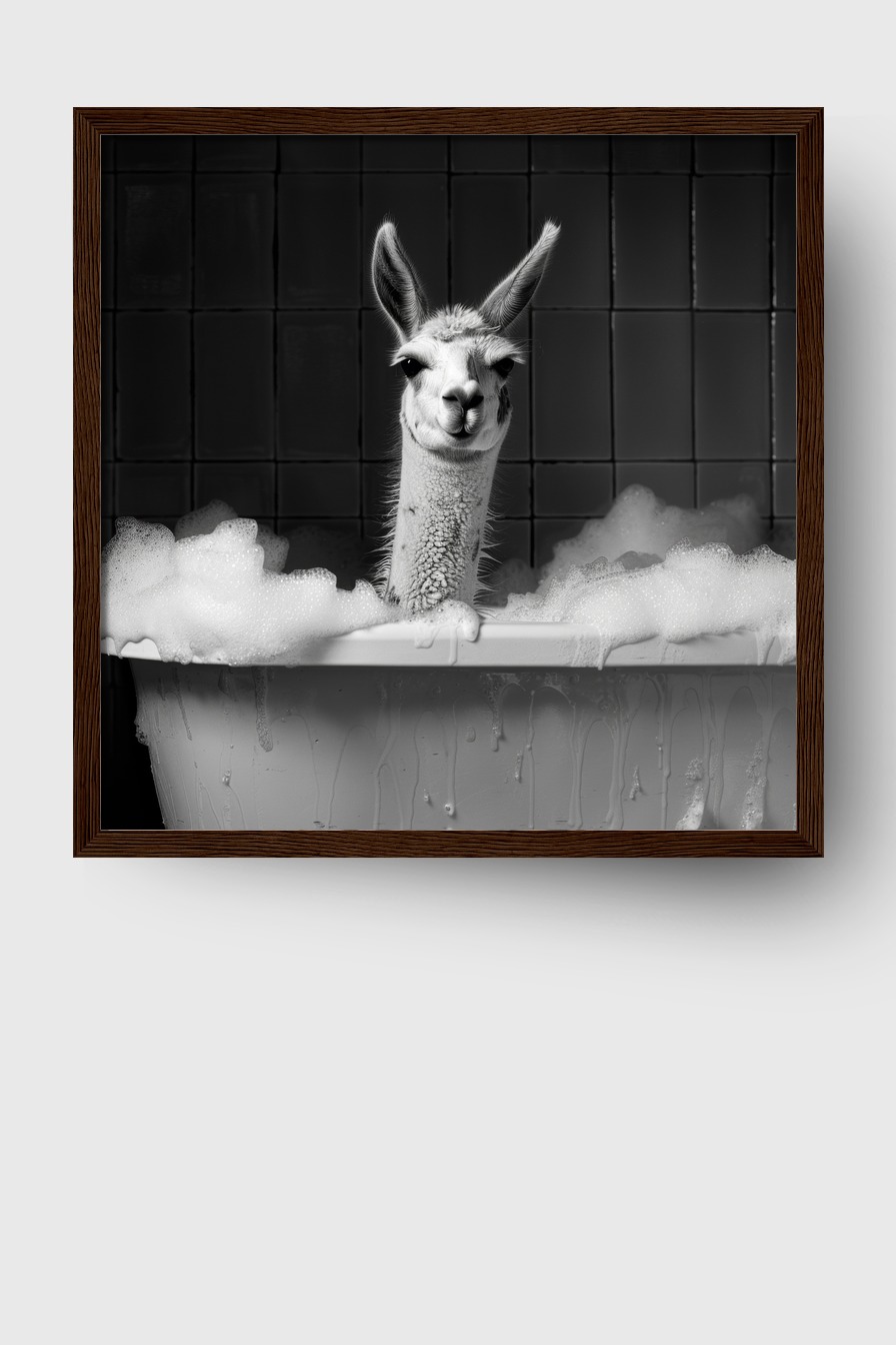 Fotografie Poster Lama Badewanne schwarz-weiß