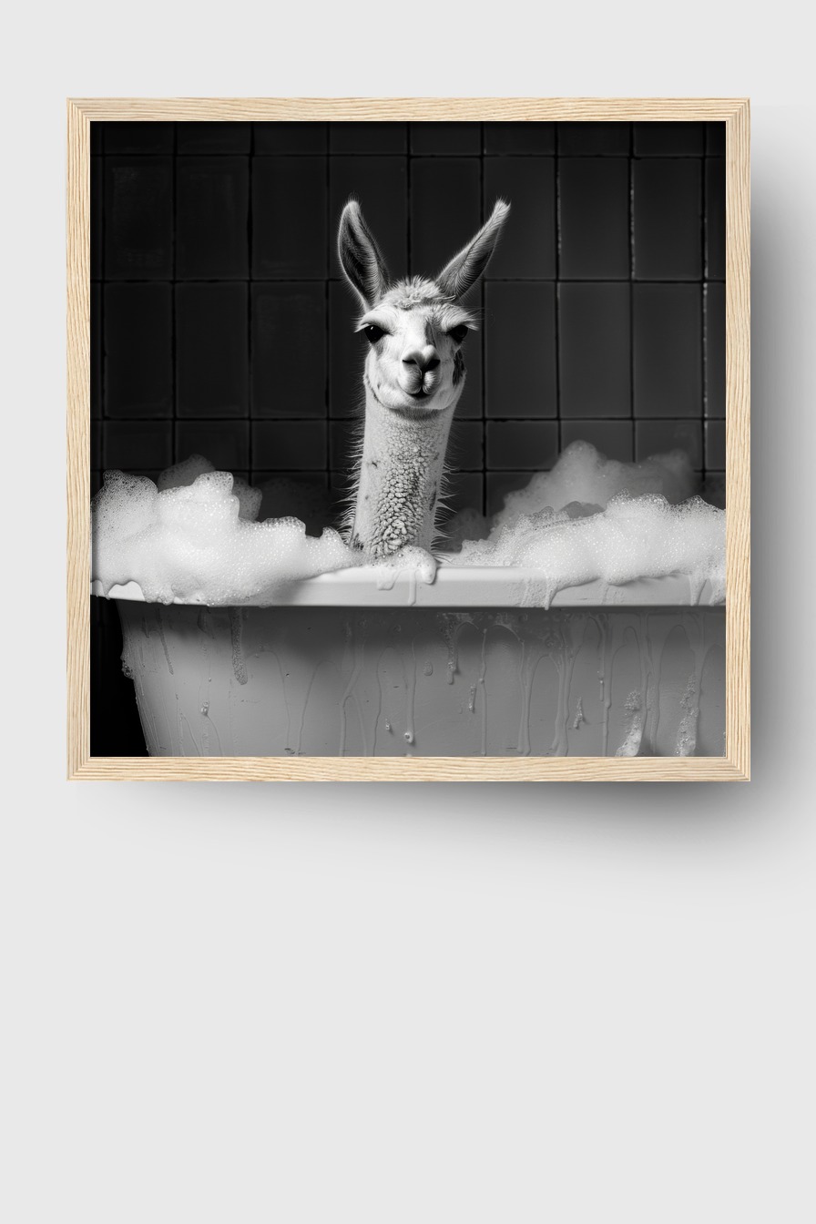 Fotografie Poster Lama Badewanne schwarz-weiß