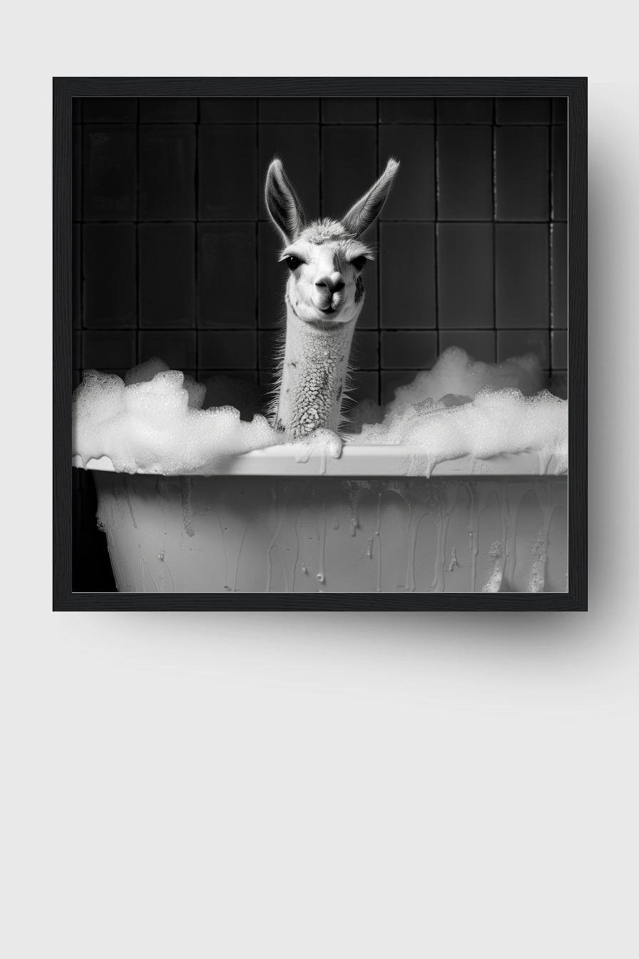 Fotografie Poster Lama Badewanne schwarz-weiß