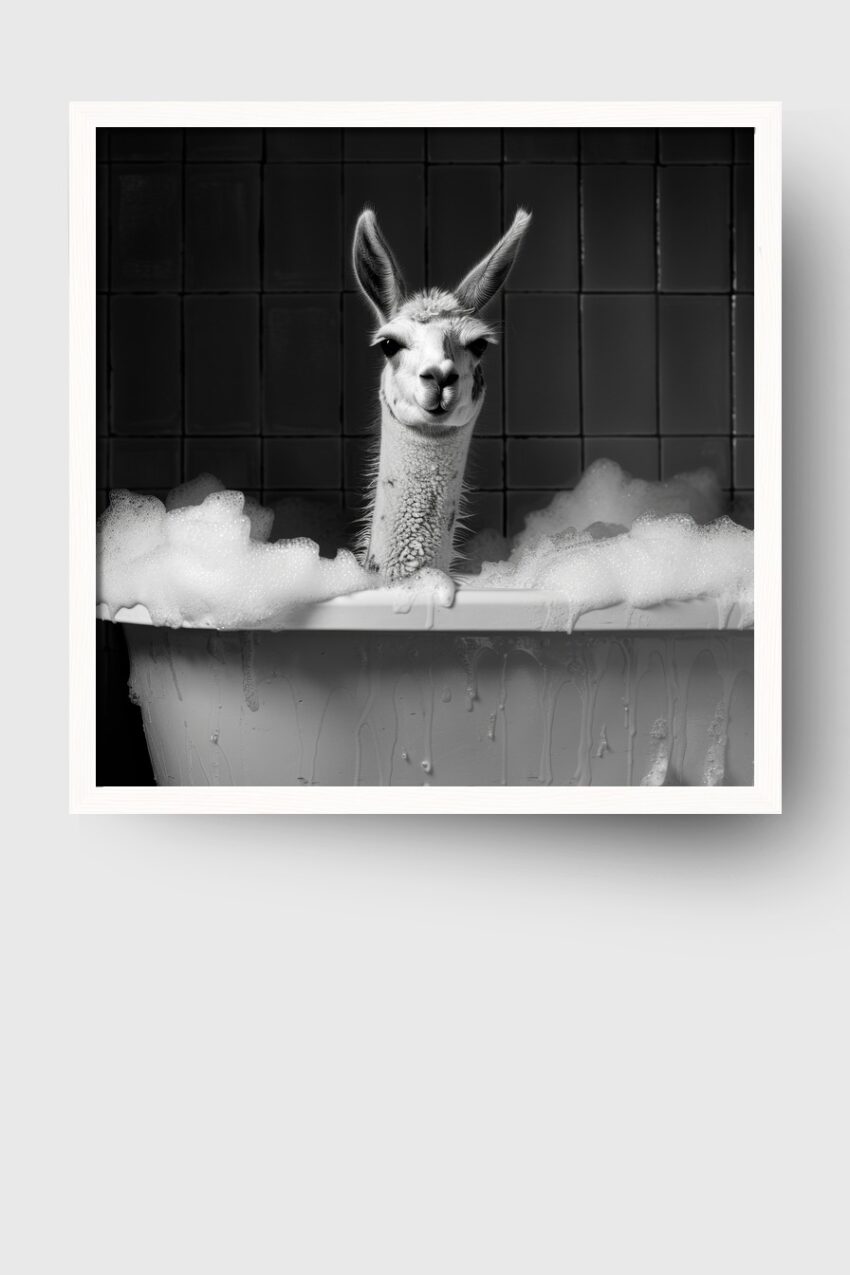 Fotografie Poster Lama Badewanne schwarz-weiß