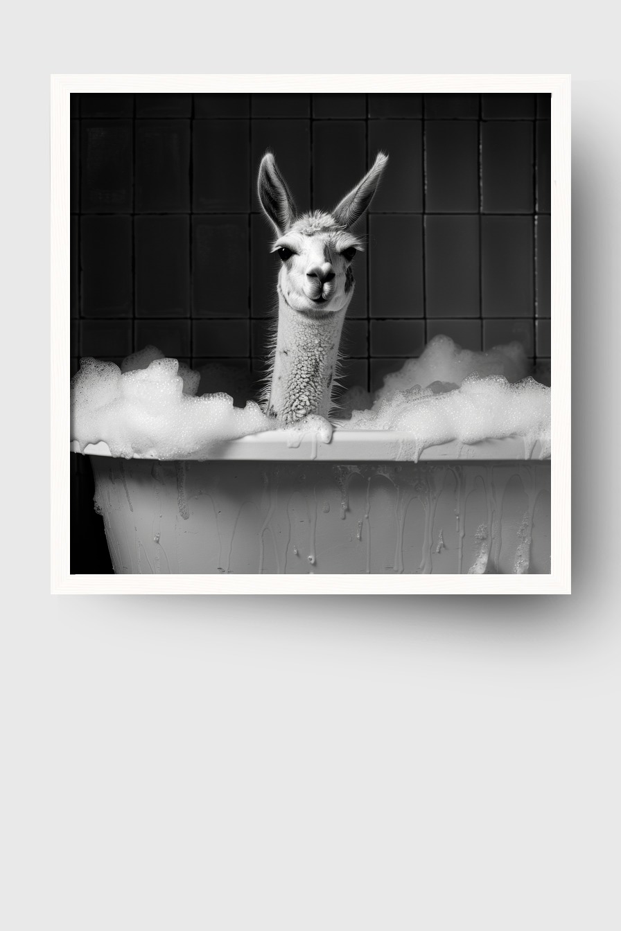 Fotografie Poster Lama Badewanne schwarz-weiß