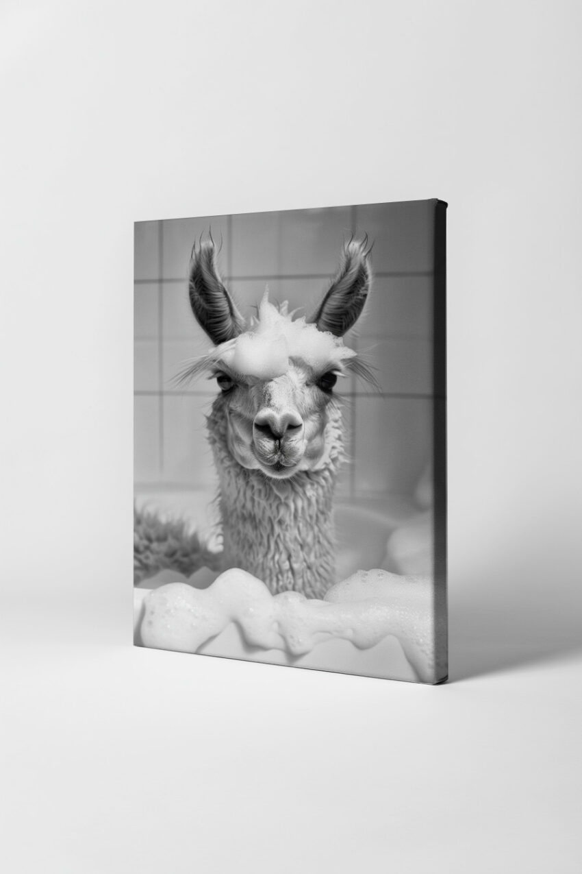 Fotografie Poster Alpaka schwarz-weiß Schaumbad