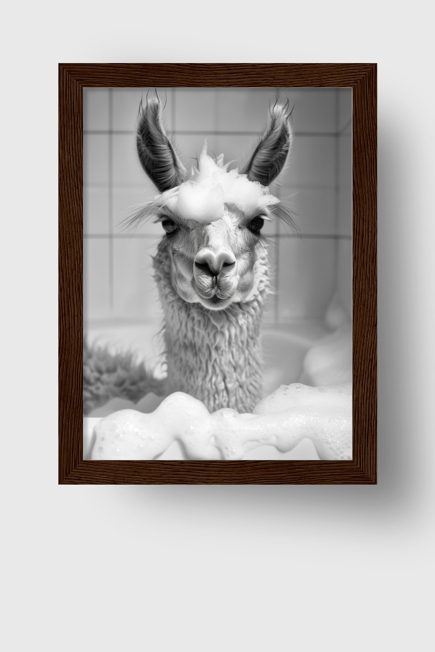 Fotografie Poster Alpaka schwarz-weiß Schaumbad