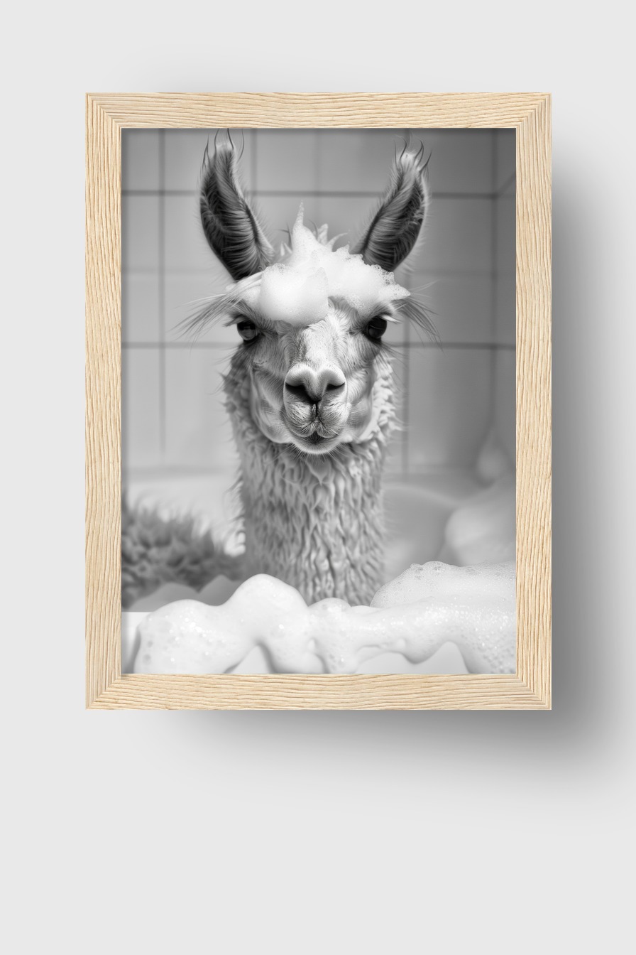 Fotografie Poster Alpaka schwarz-weiß Schaumbad