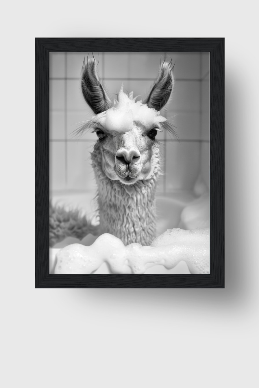 Fotografie Poster Alpaka schwarz-weiß Schaumbad