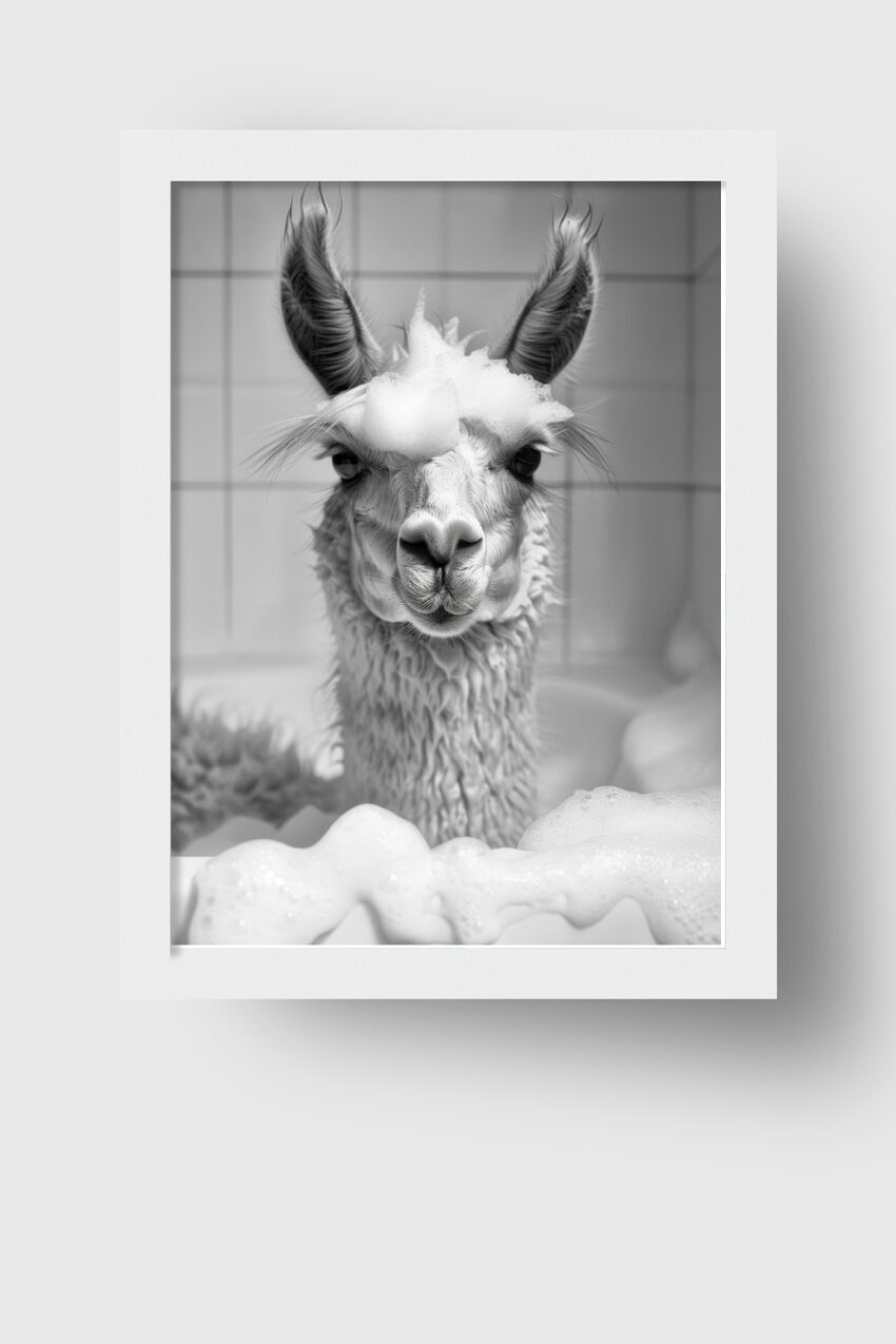 Fotografie Poster Alpaka schwarz-weiß Schaumbad
