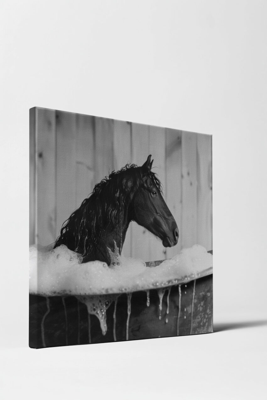 Fotografie Poster Pferd Bad Schwarzweiß