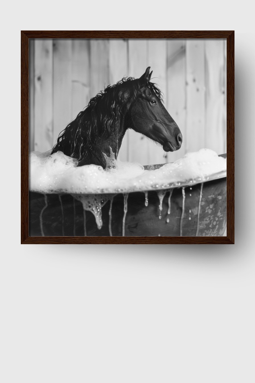 Fotografie Poster Pferd Bad Schwarzweiß