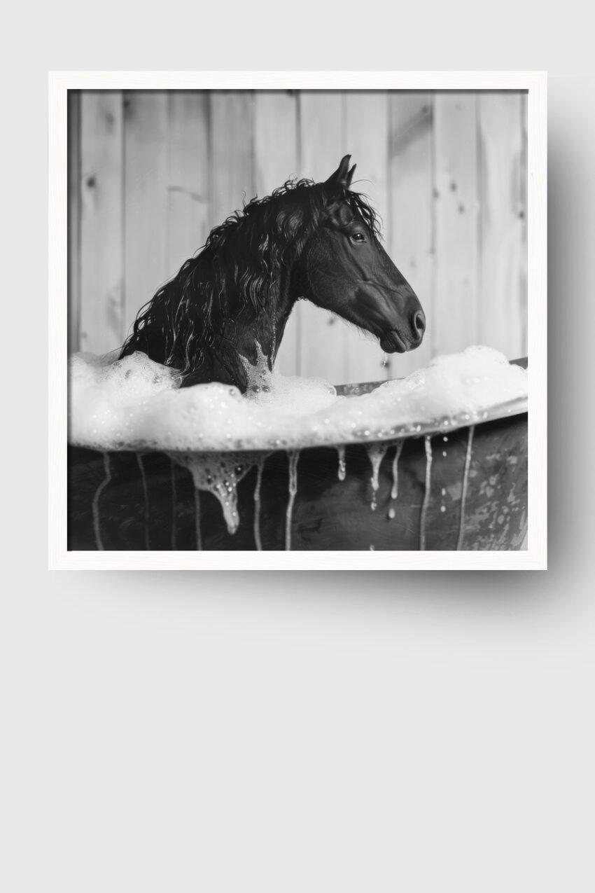 Fotografie Poster Pferd Bad Schwarzweiß