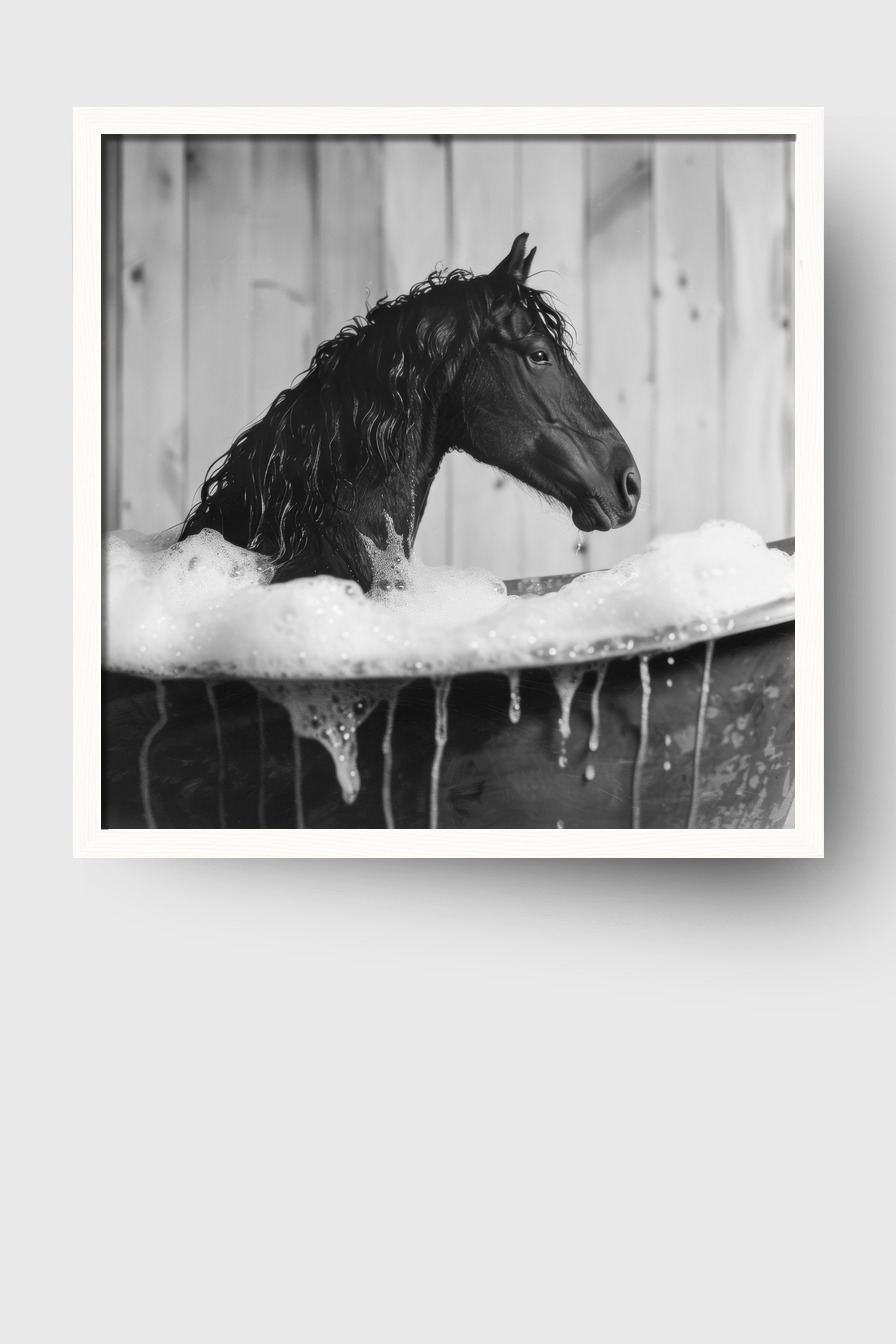 Fotografie Poster Pferd Bad Schwarzweiß
