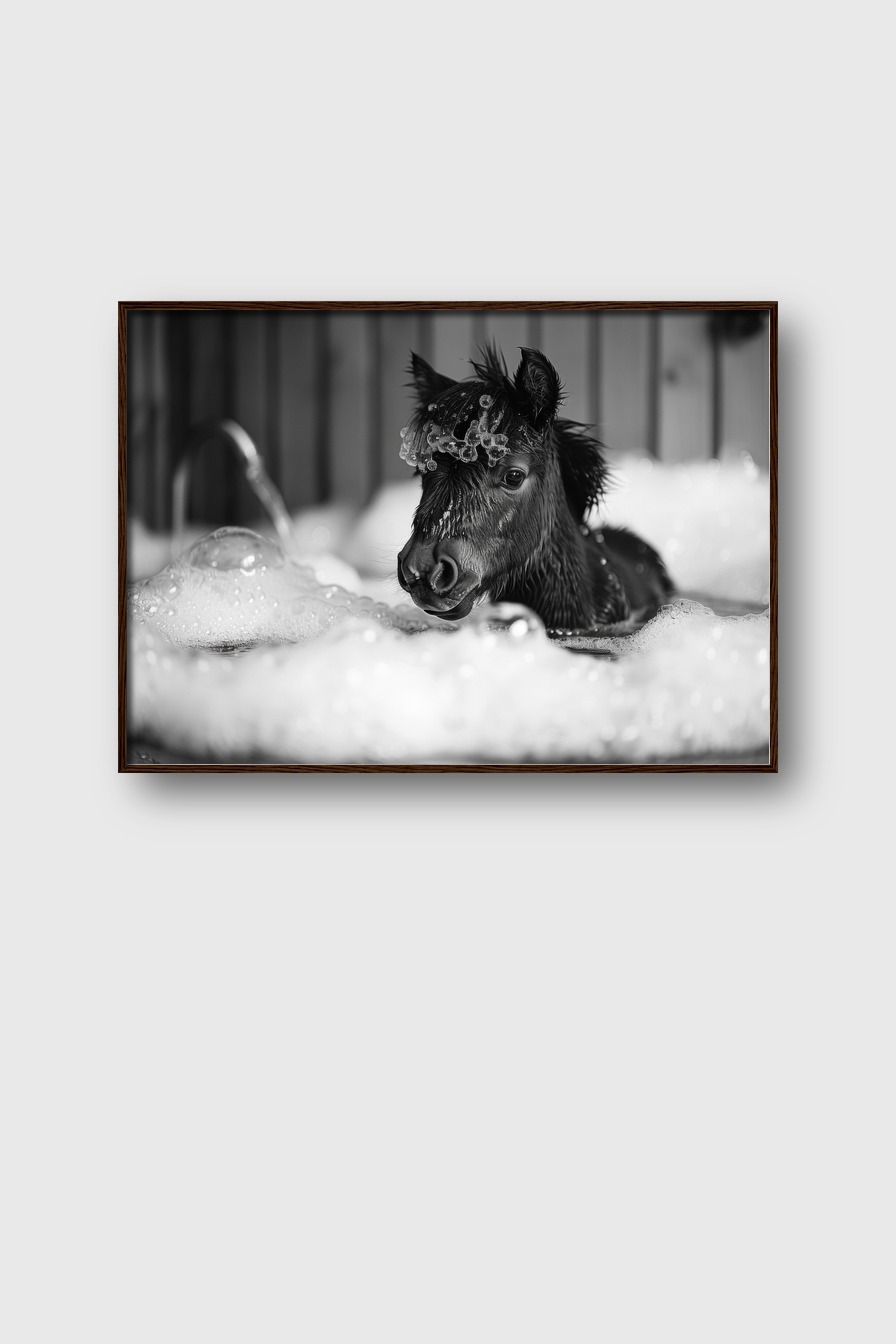 Fotografie Poster Fohlen Badewanne schwarz-weiß