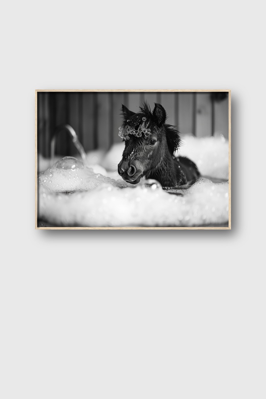 Fotografie Poster Fohlen Badewanne schwarz-weiß