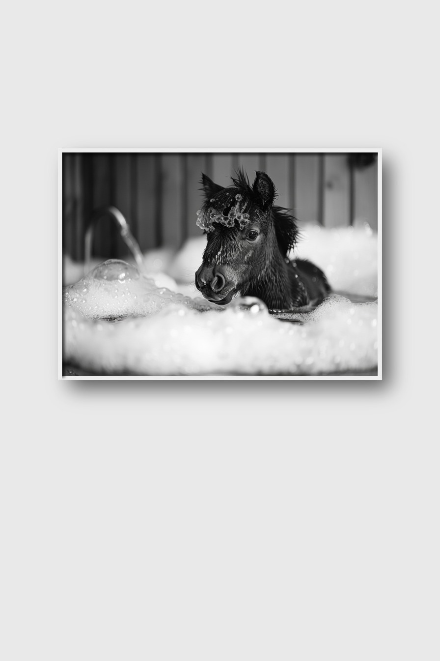 Fotografie Poster Fohlen Badewanne schwarz-weiß