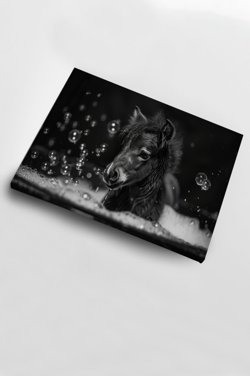 Fotografie Poster Fohlen schwarz-weiß Seifenblasen