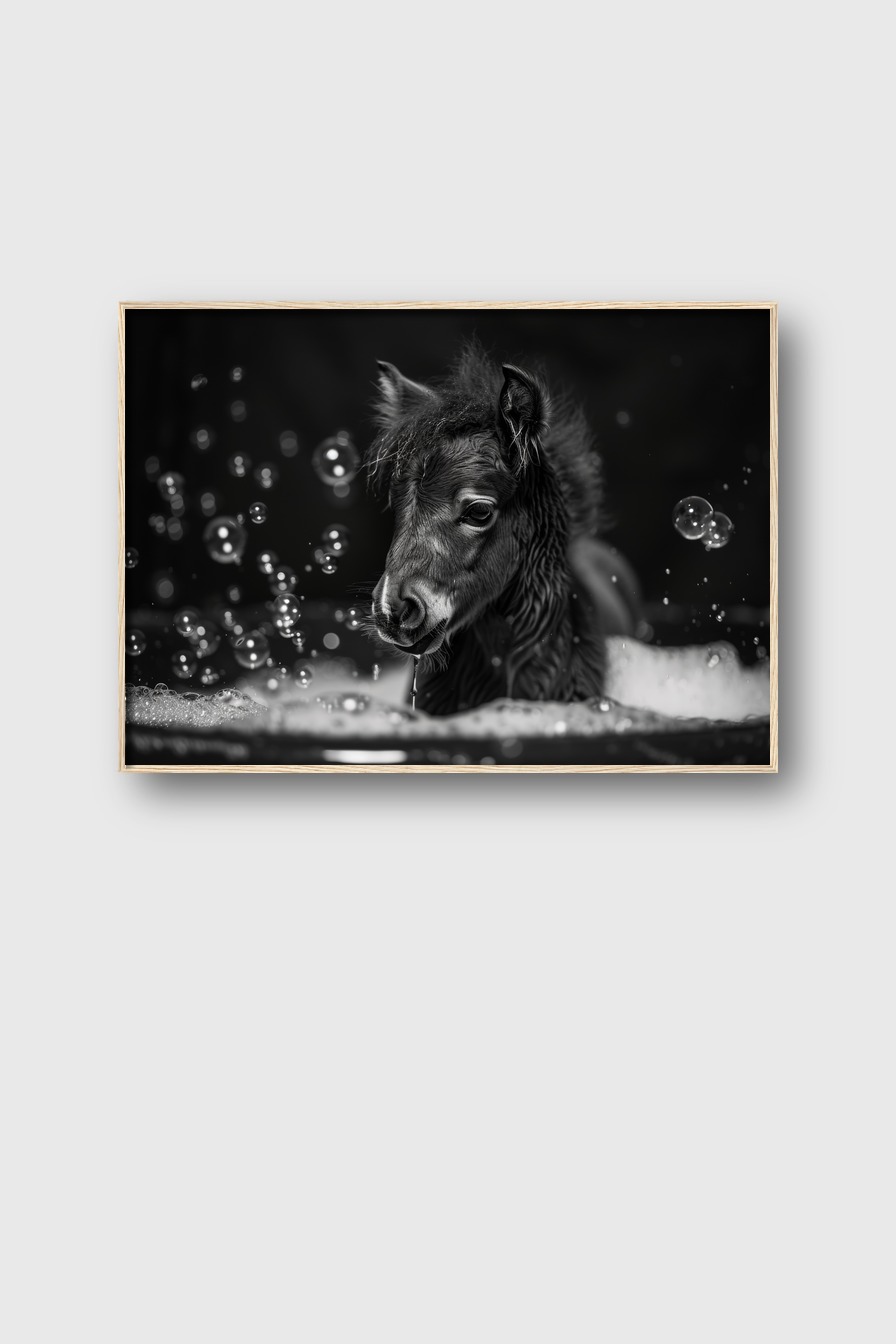 Fotografie Poster Fohlen schwarz-weiß Seifenblasen