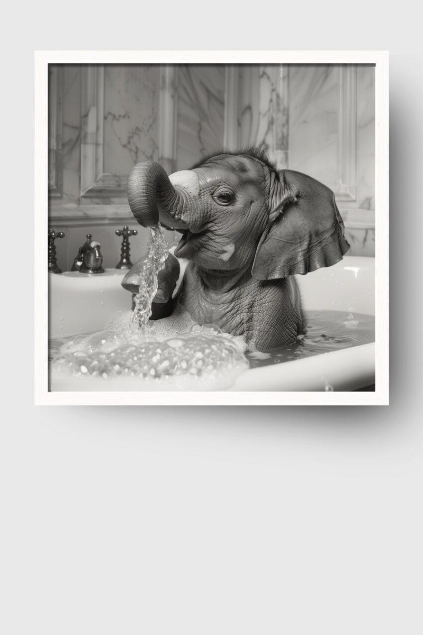 Fotografie Poster Elefantenbaby Badewanne schwarz-weiß