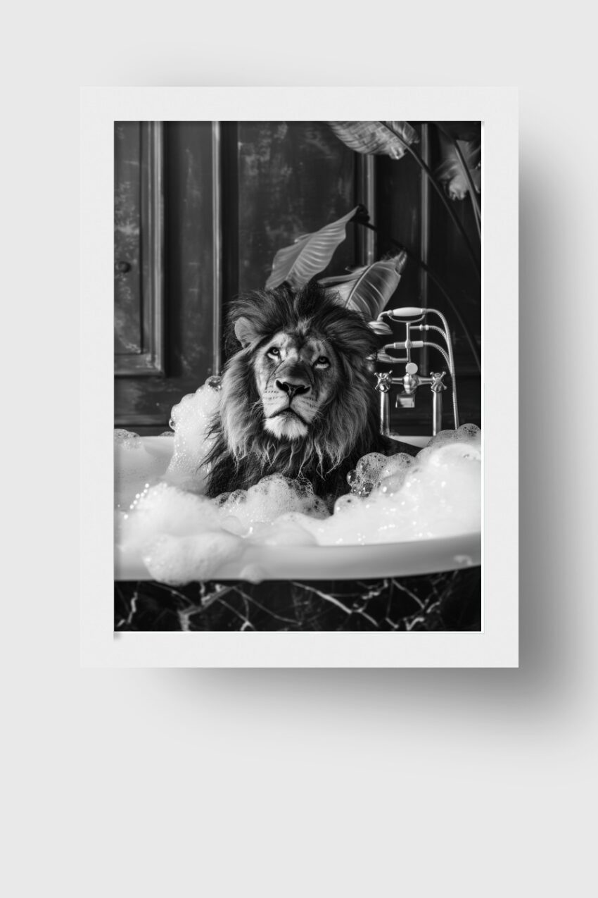 Fotografie Poster Löwe Badewanne schwarz-weiß