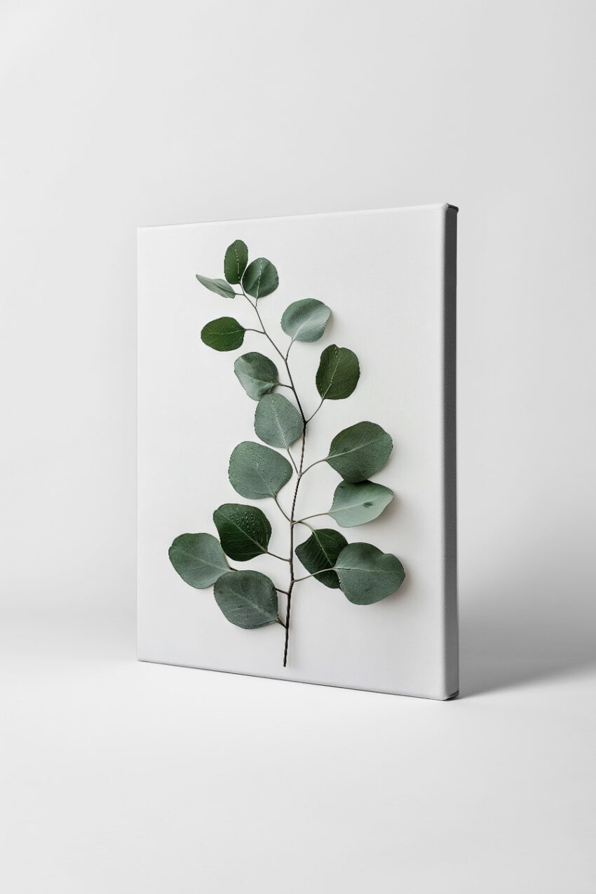 Fotografie Poster Eukalyptuszweig grün minimalistisch