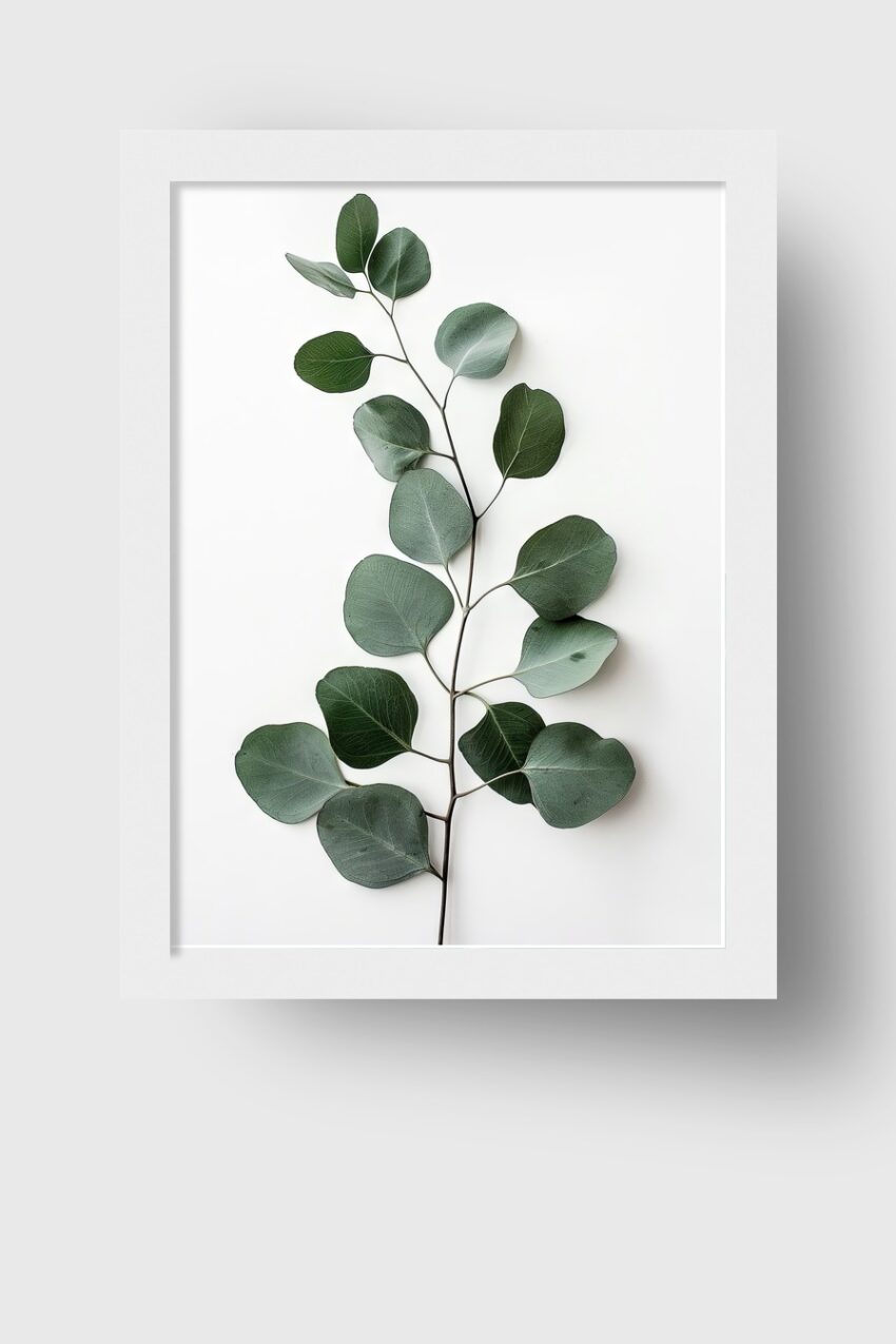 Fotografie Poster Eukalyptuszweig grün minimalistisch