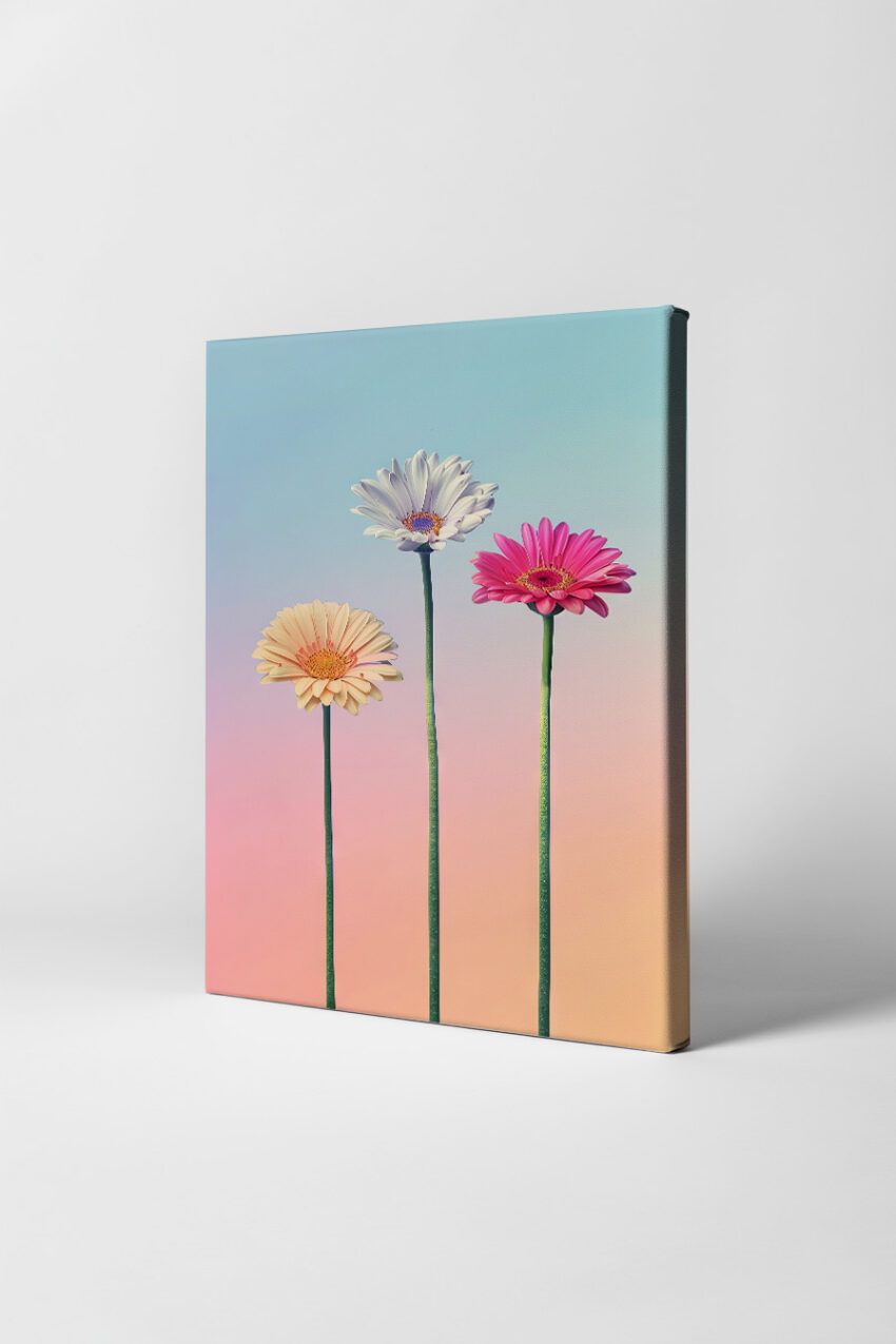 Fotografie Poster Gerbera bunt Pastell