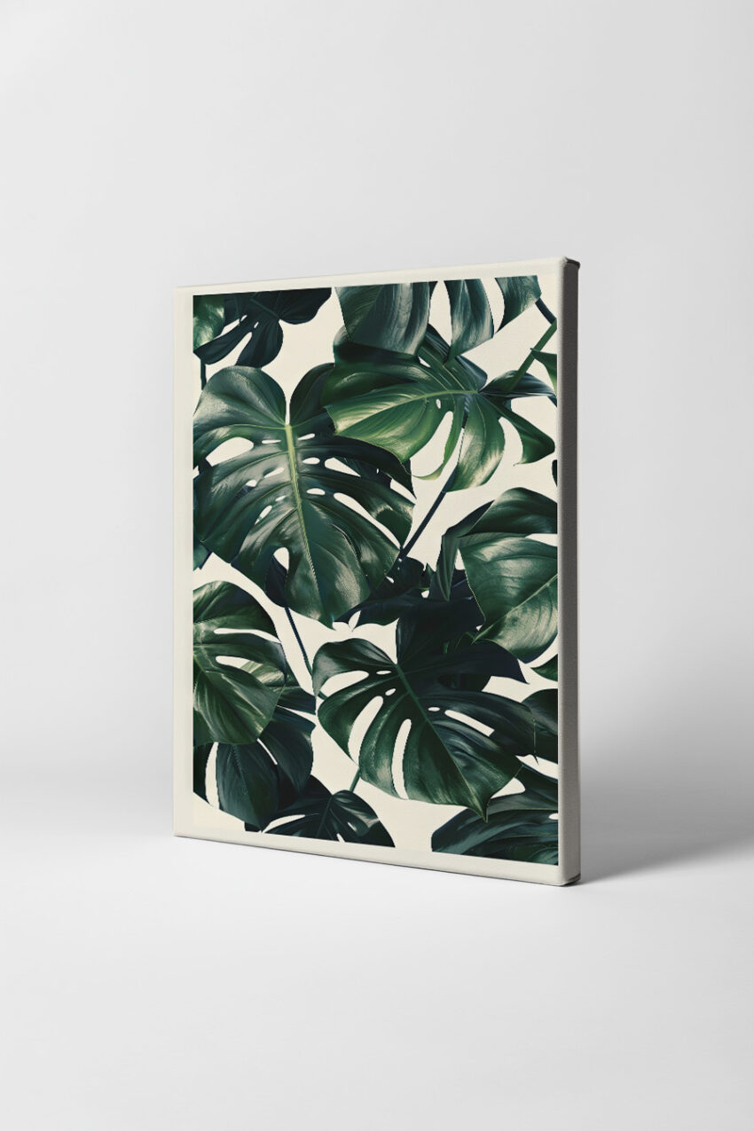 Illustration Poster Monstera Blätter dunkelgrün botanisch