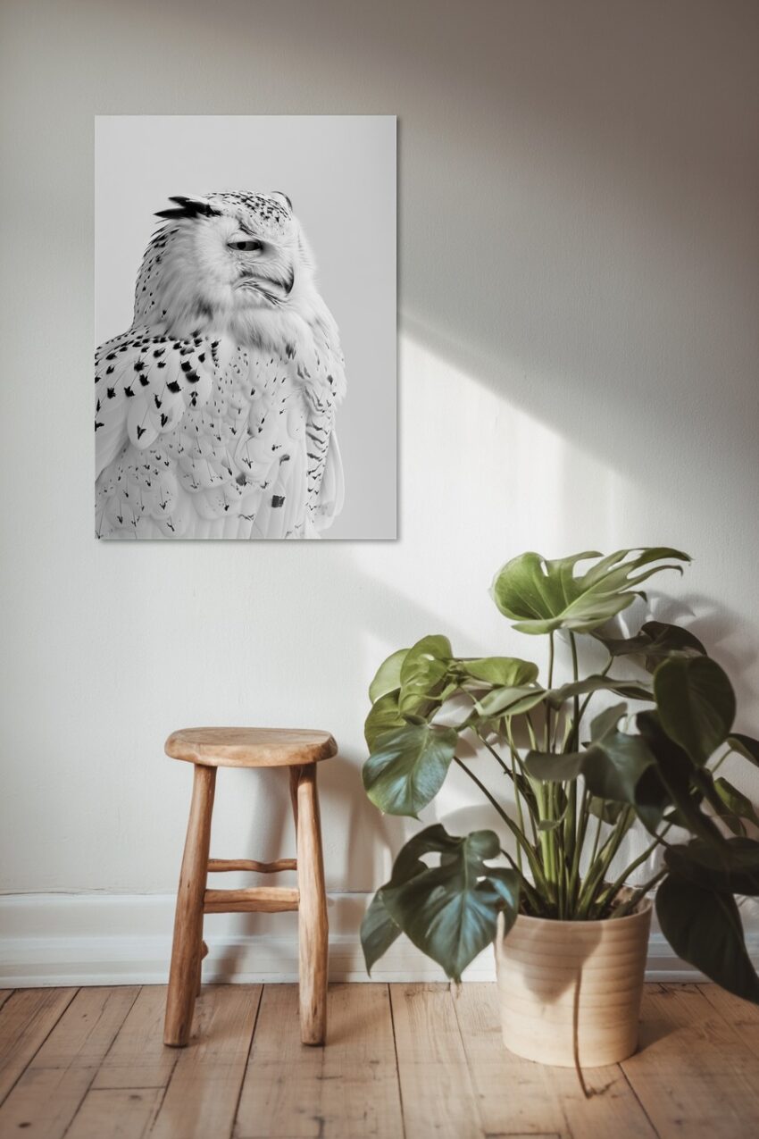 Fotografie Poster Schnee-Eule schwarz-weiß Nahaufnahme