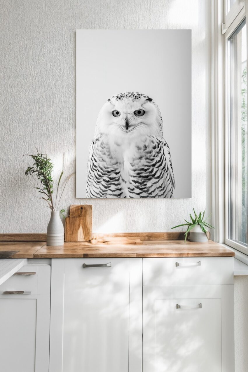 Fotografie Poster Schnee-Eule Porträt schwarz-weiß