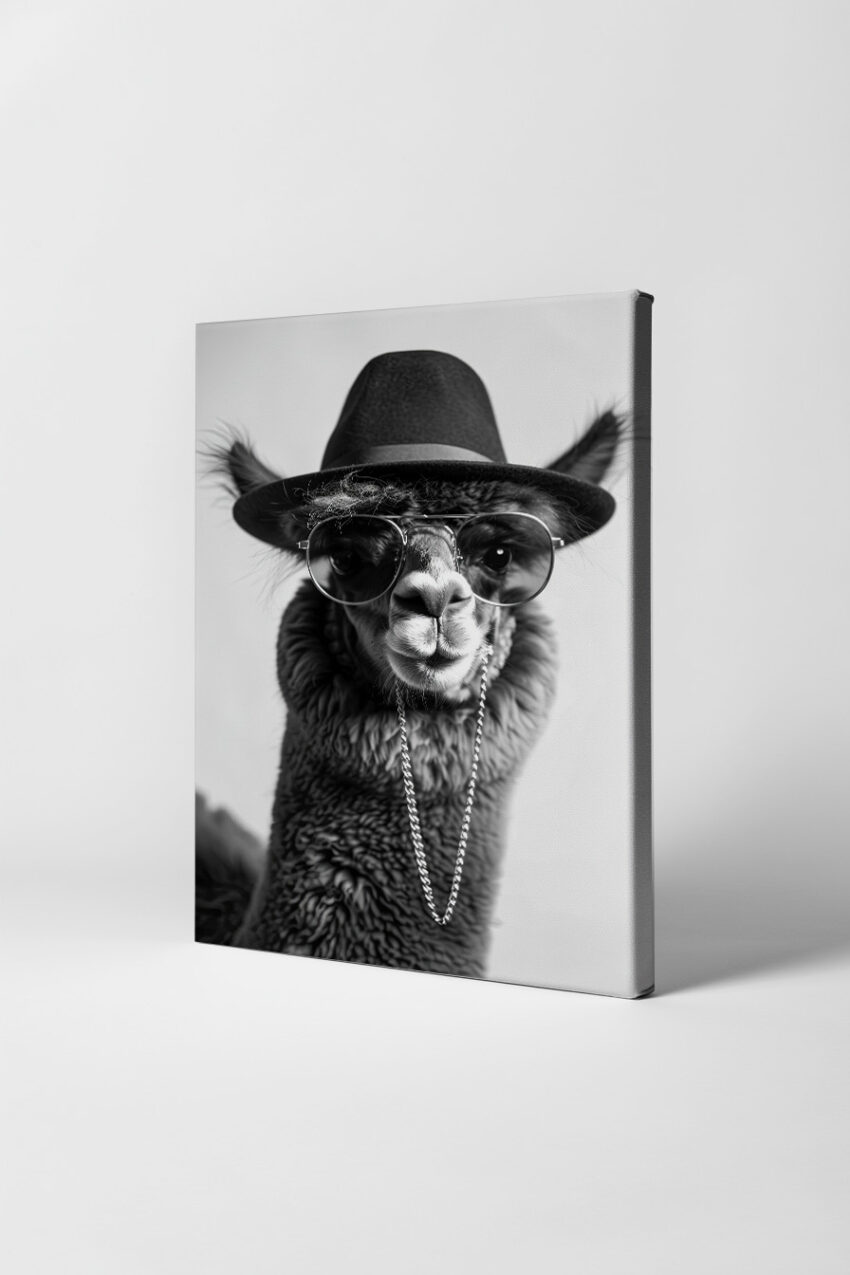 Fotografie Poster Alpaka schwarz-weiß Hut Sonnenbrille