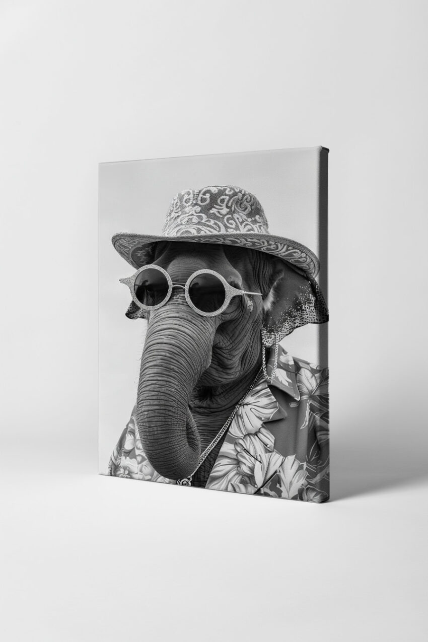 Fotografie Poster Elefant Hut Sonnenbrille schwarz-weiß