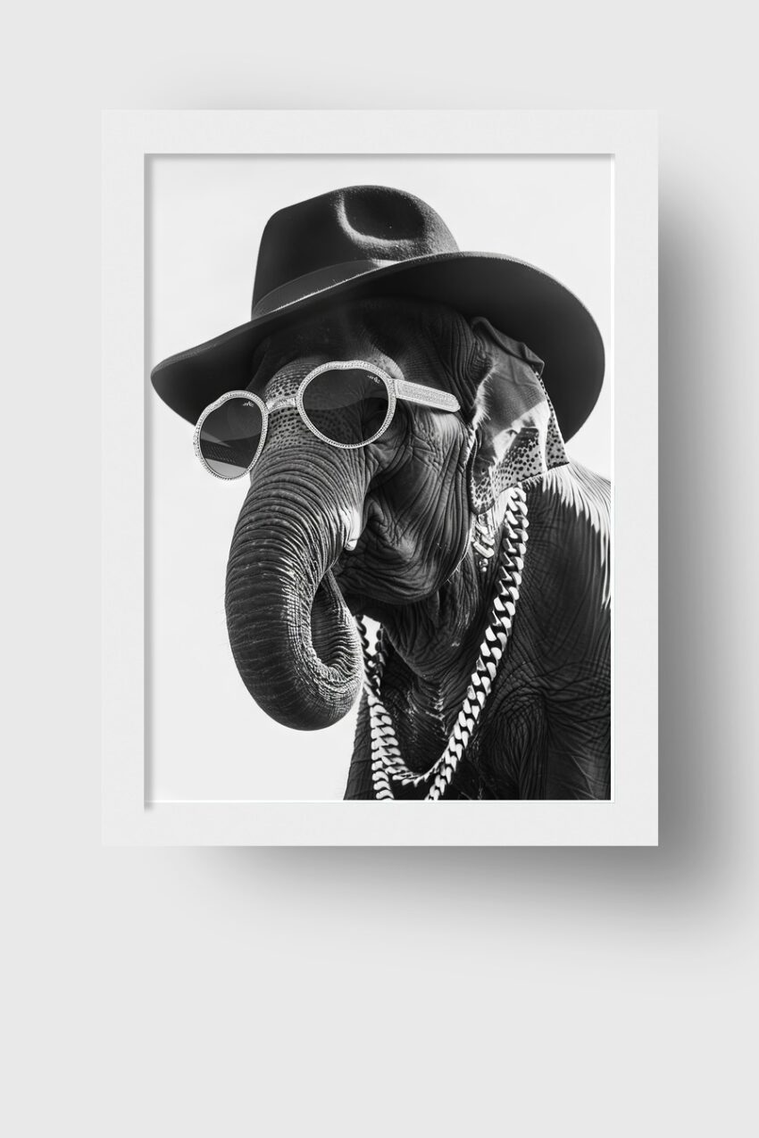 Fotografie Poster Elefant schwarz-weiß Hut Sonnenbrille