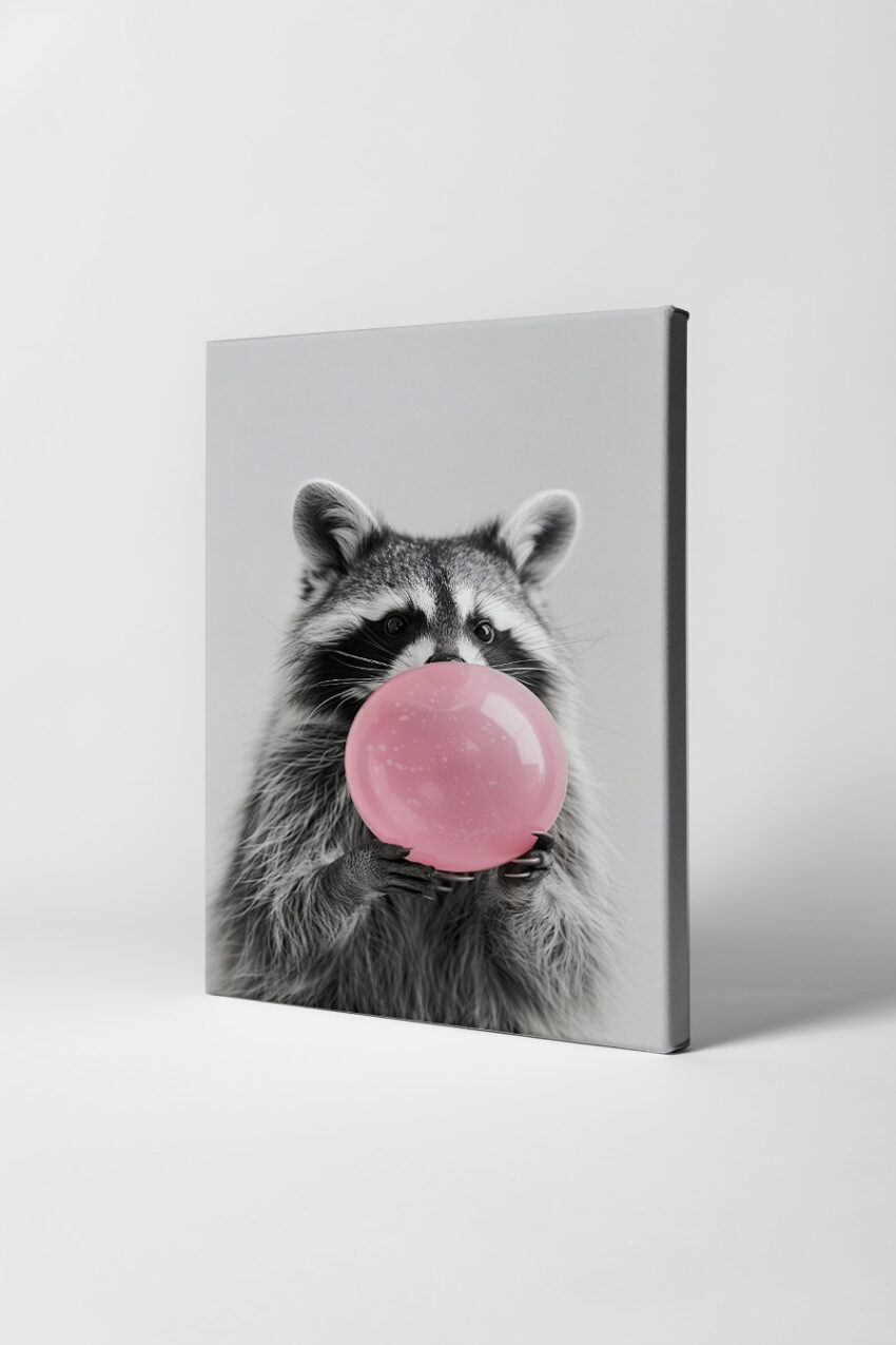 Fotografie Poster Waschbär rosa Bubblegum Blase