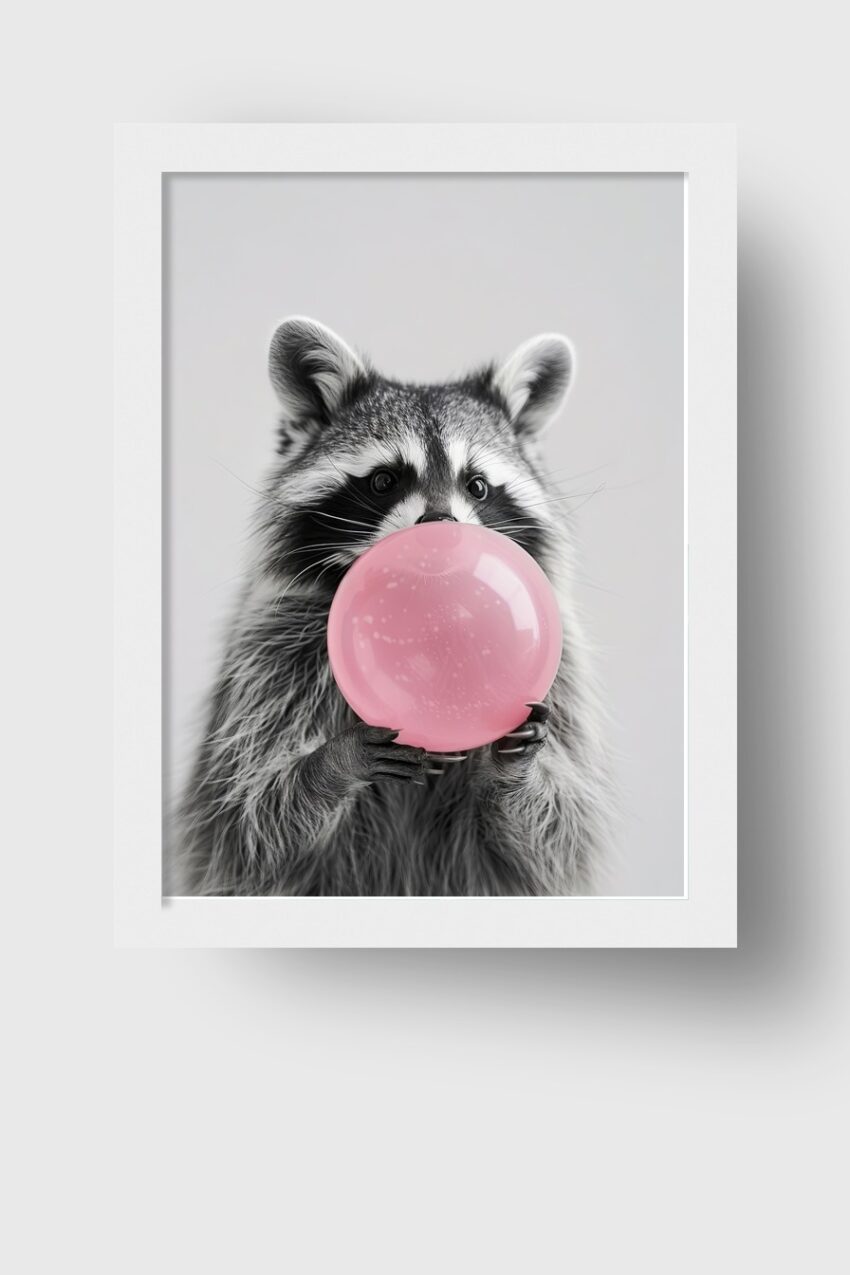 Fotografie Poster Waschbär rosa Bubblegum Blase