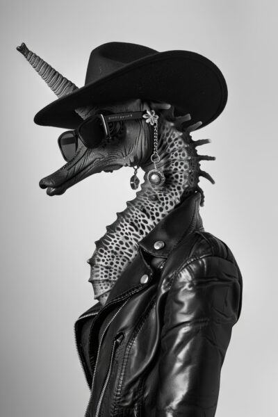 Seepferdchen Lederjacke Leinwandbild